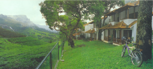 C9 Image- image from ideadesign.in